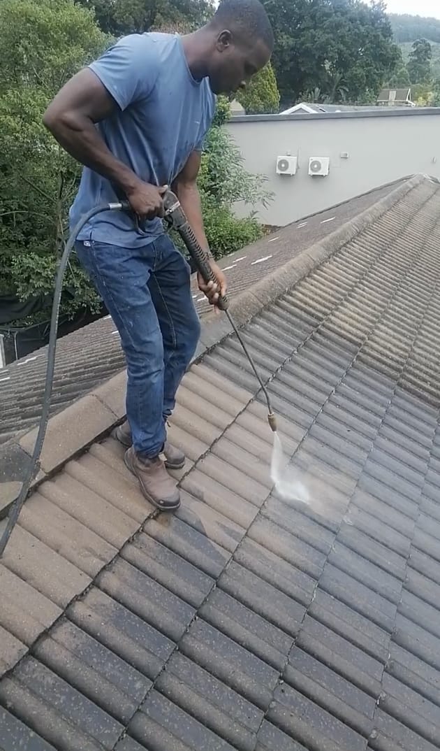 Moss Removal